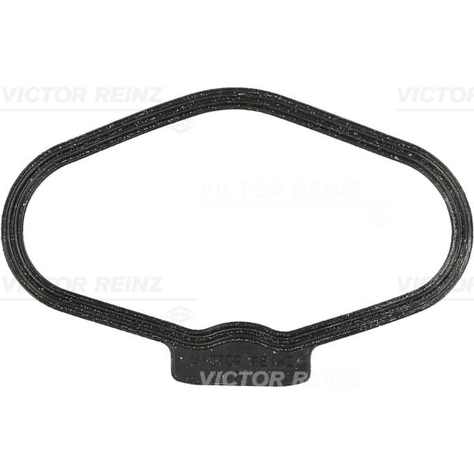 Victor Reinz Kleppendeksel pakking REINZ 71-10170-00