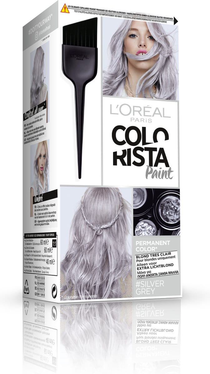 COLORISTA PAINT FR/NL/GR 10.120 SIL