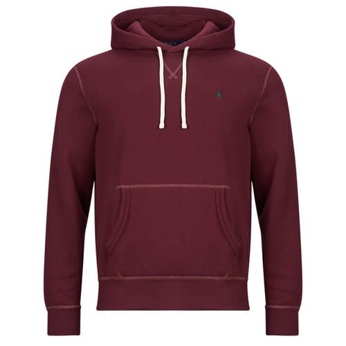 Capuchon sweaters Polo Ralph Lauren SWEAT A CAPUCHE MOLTONE EN COTON