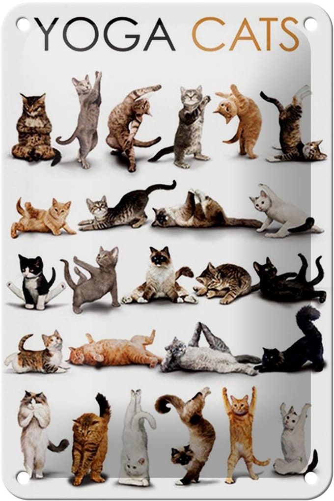 Blechschild Tiere 12x18cm Yoga Cats Katzen Schild