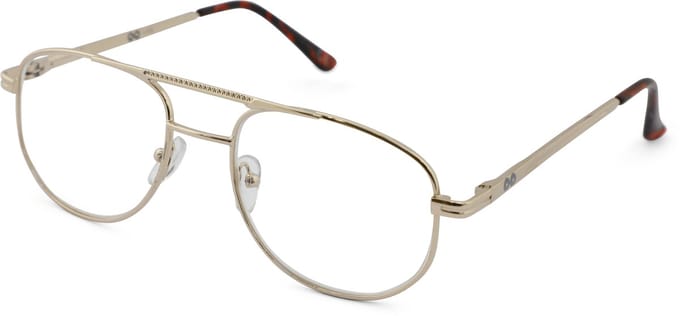 Leesbril Croon Goud Lee-+1.00