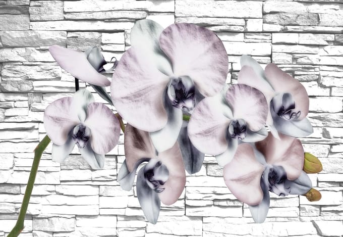 Fotobehang Flowers Orchids Texture | XL - 208cm x 146cm | 130g/m2 Vlies