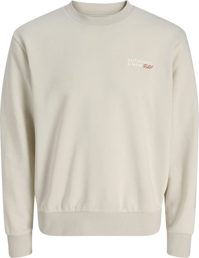 JJREBEL - JREBHAYDEN CREW NECK SWEAT SN Heren Trui
