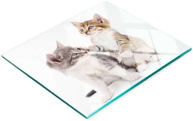 Gehard multifunctioneel decoratief bord van glas met twee kleine katjes, 60x52 cm