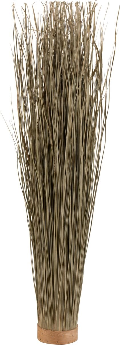 J-Line gedroogd gras Rond - riet - groen - small