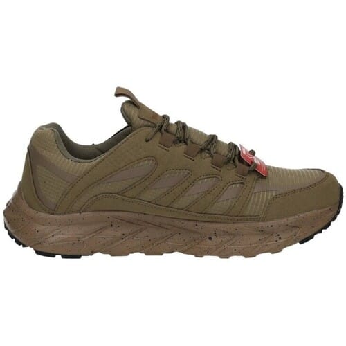 Trail Paredes -