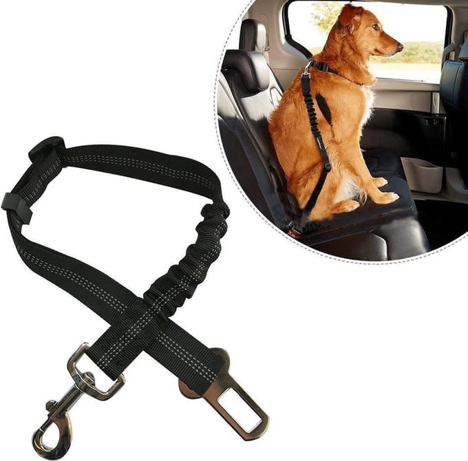 *** Premium Autogordel Hond - Veilig Onderweg - van Heble® ***