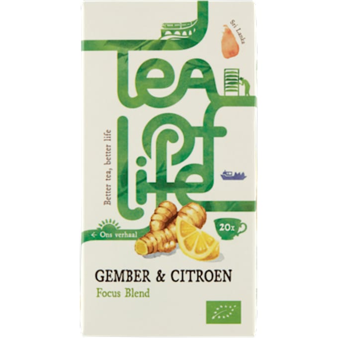 Focus Blend gember citroen