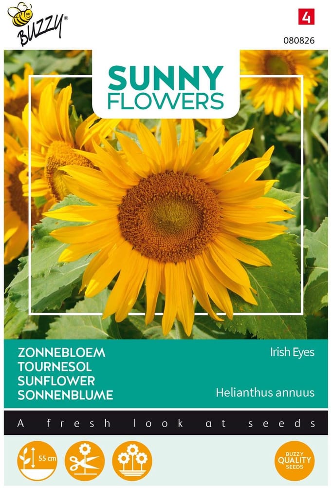 Buzzy® Sunny Flowers, Zonnebloem Irish Eyes