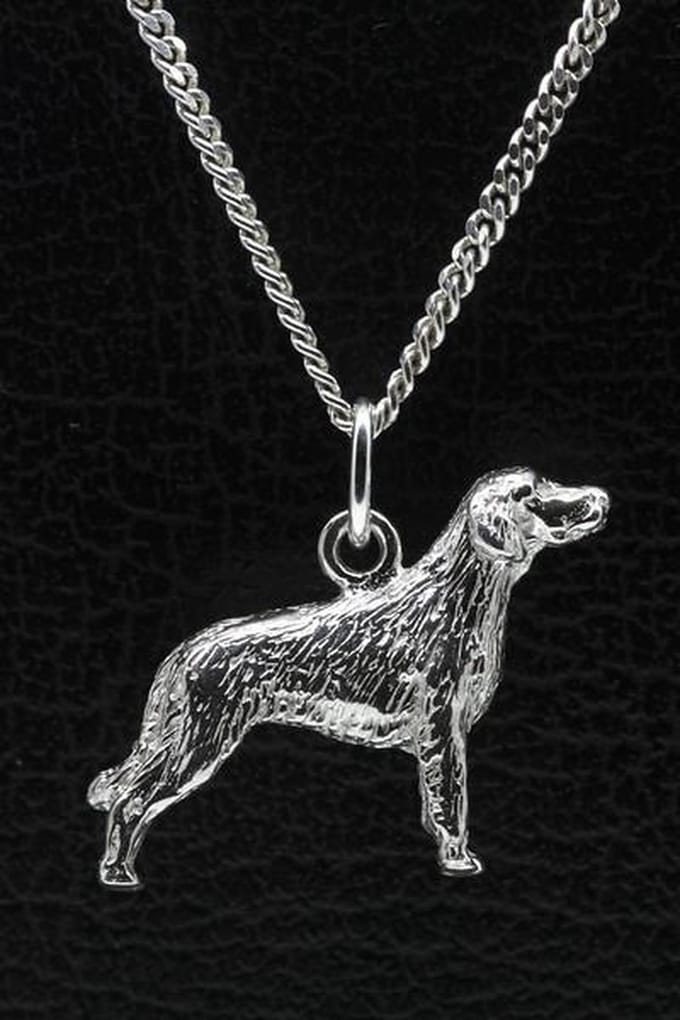 Zilveren Duitse staander langhaar ketting hanger - groot
