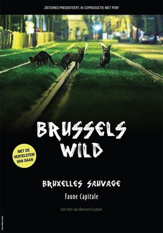 Brussels Wild (DVD)