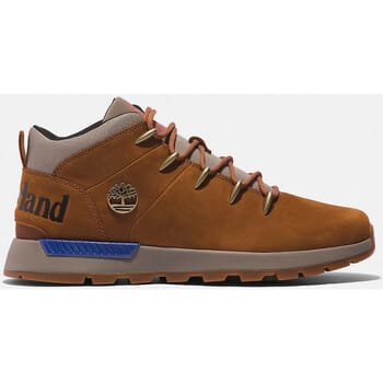 Sneakers Timberland Sptk mid lace sneaker