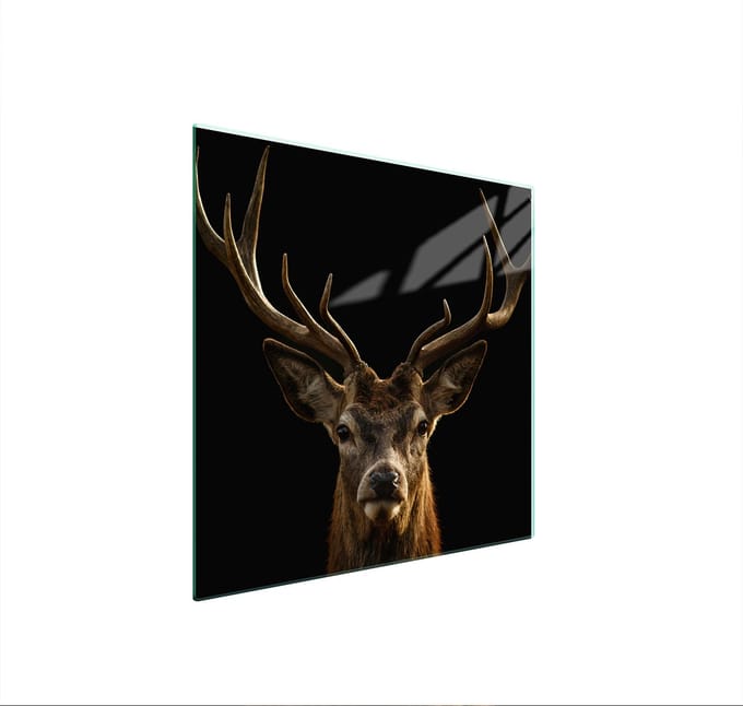TMK ArtDeko - Serie - Glasplaat Beschermer - 50x52 cm - Veiligheid