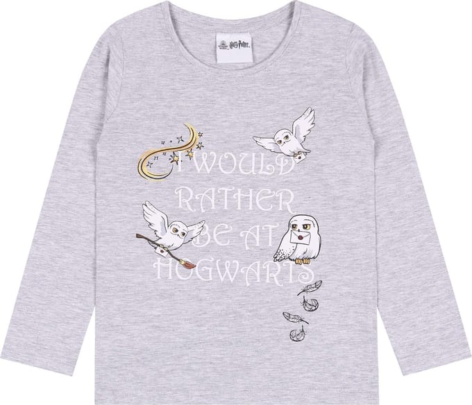 Grijs meisjes t-shirt van Harry Potter / 110 cm