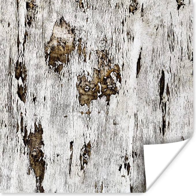 Poster Berk - Wit - Hout - 30x30 cm