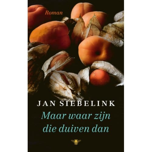 Maar Waar Zijn Die Duiven Dan - Jan Siebelink