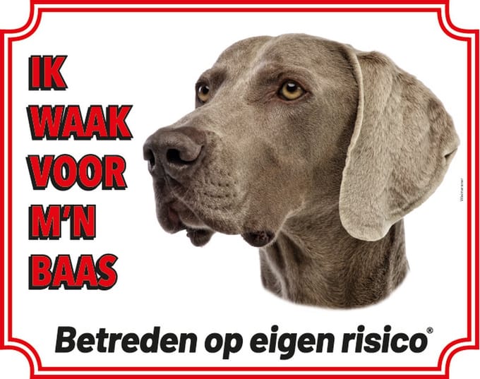 Weimaraner Waakbord - Ik waak voor mijn baas