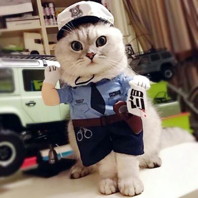 Costume d'Halloween en polyester pour animaux de compagnie, mignon, policier, pour chats et chiens(M) M black