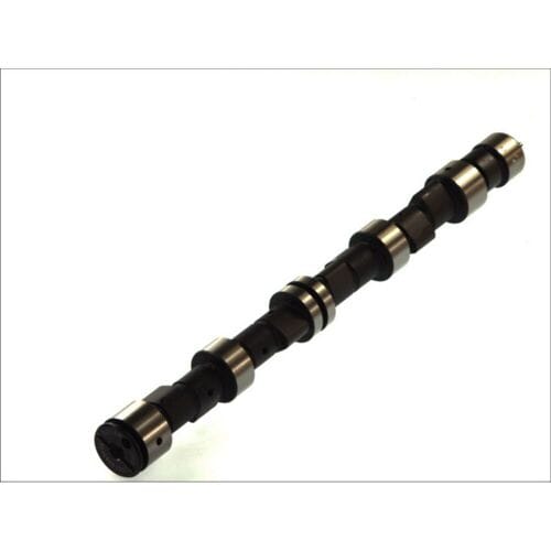 Nokkenas  AE CAM359