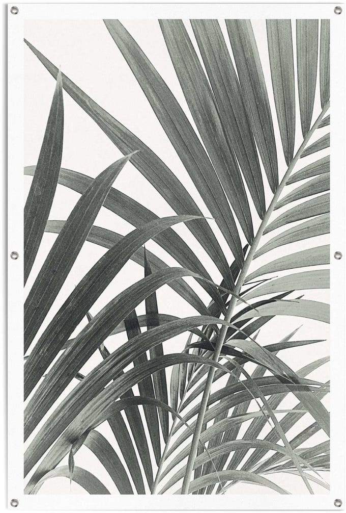Tuinposter Palmbladeren - 120 x 80 - Canvas - REINDERS