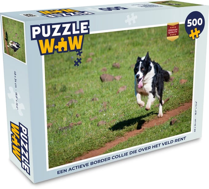 Puzzel Een actieve border collie die over het veld rent - Legpuzzel - Puzzel 500 stukjes