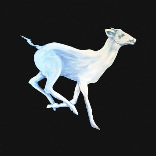 Gift Horse - Cloud Cafe
