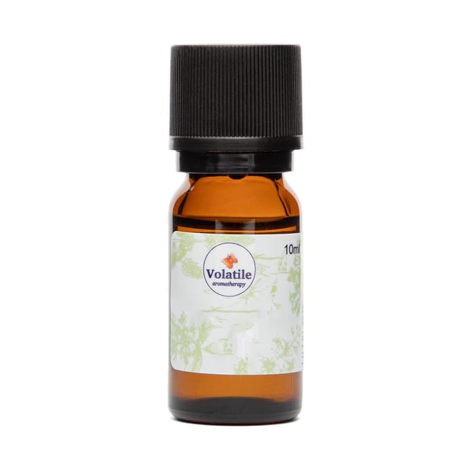 Volatile Eucalyptus Wild - 25 ml - Etherische Olie