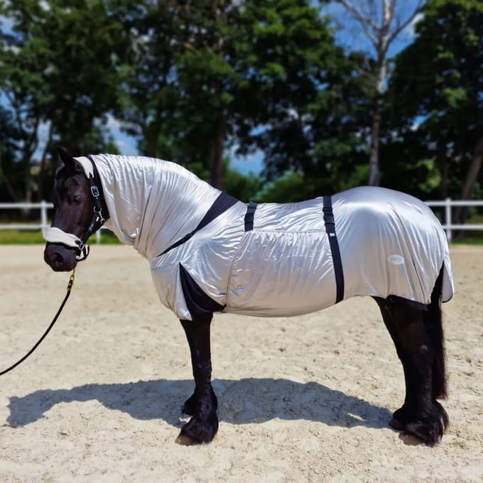 Paardenvliegendeken York Eczéma