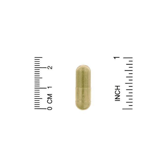 Fisetine met Novusetine, 100 mg, 30 plantaardige capsules