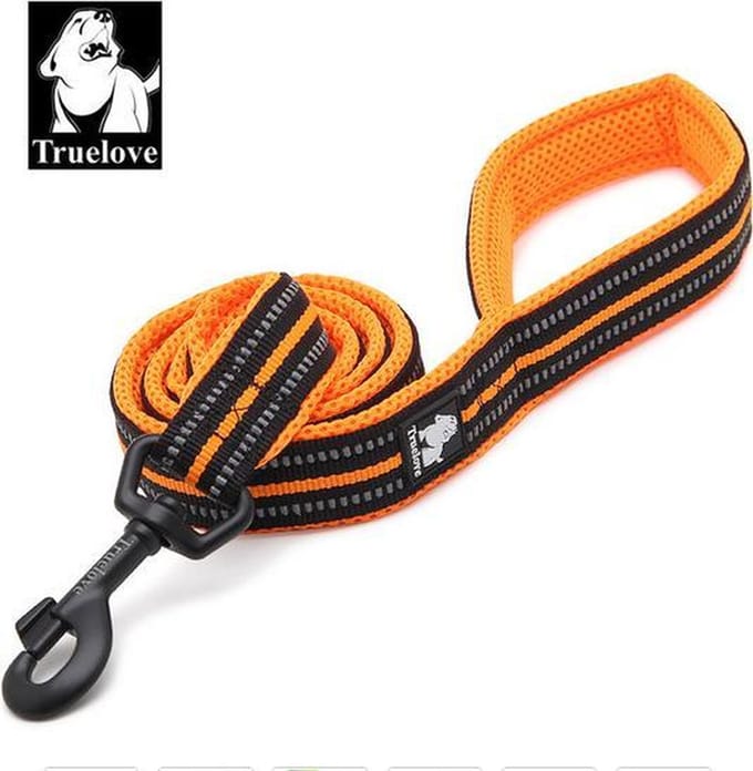 Truelove Hondenriem - Oranje - M - 200cm