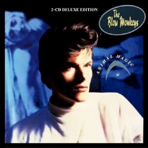 Animal Magic - Blow Monkeys