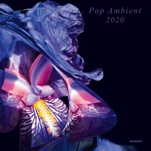 Pop Ambient 2020 - Various