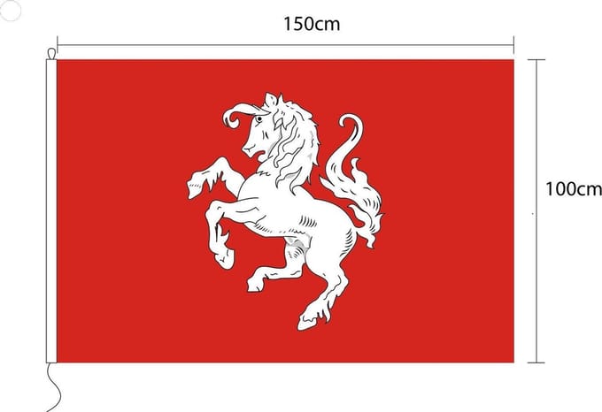 Vlag van Twente - Twentse ros 100 x 150cm - Zware kwaliteit