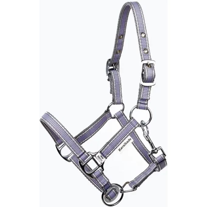 Halsband voor paard Kavalkade Shorty