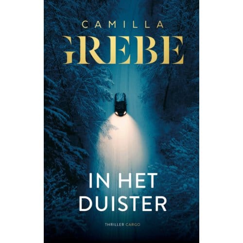 In Het Duister - Camilla Grebe