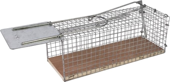 Talen Tools - Rattenkooi - Rattenval - Draadmodel