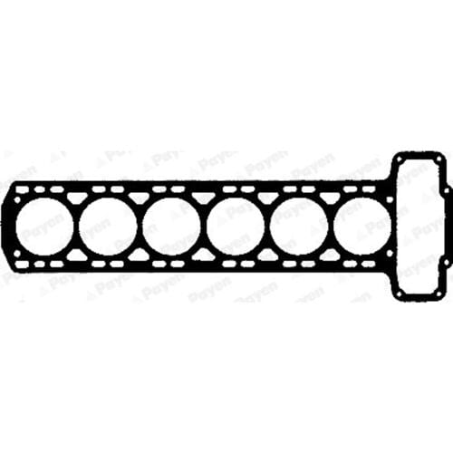 Cilinderkoppakking PAYEN AG570