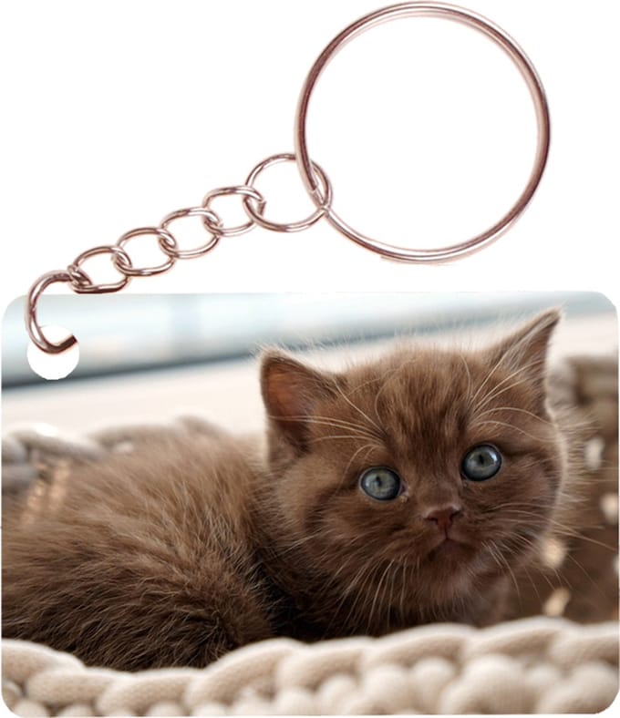 Sleutelhanger 6x4cm - Britse Langhaar Bruin