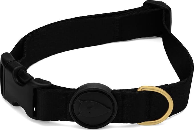 Morso - Halsband Hond - Gerecycled - Gold Caviar Goud - 30-42X1.5 cm