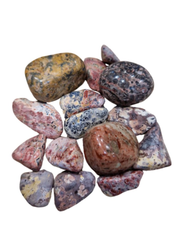 Jaspis luipaard 100 gr. trommelstenen (mt2-3)