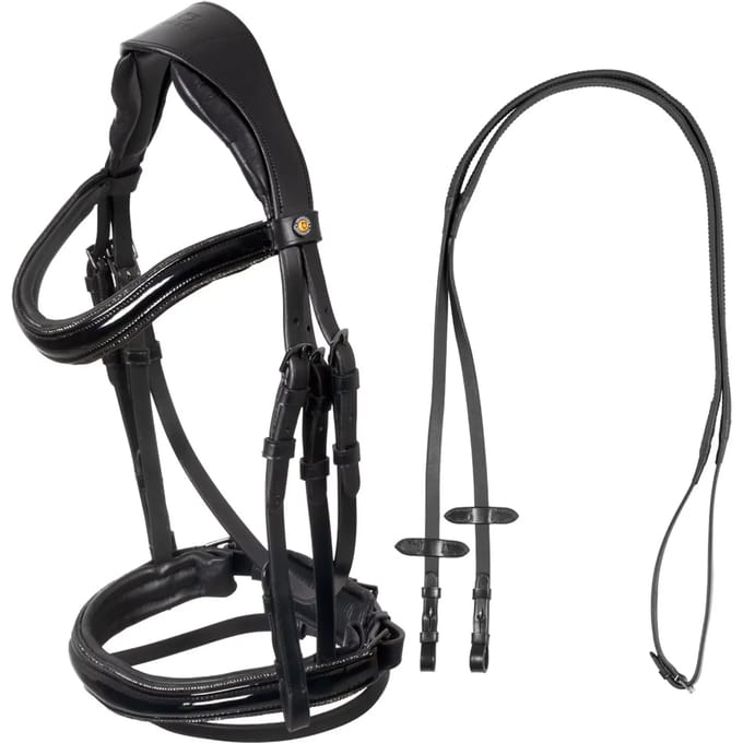 Anatomisch bit hoofdstel Equestro