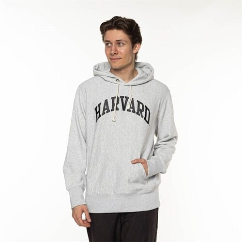 Capuchon sweaters Champion Harvard