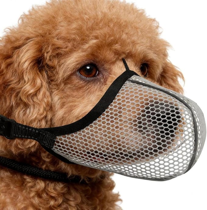 Honden muilkorf - Anti-blaf - Gedragstraining - Ademend mesh - Maat M - Grijs