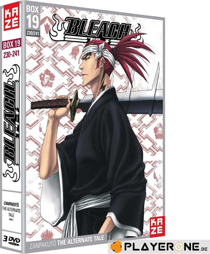 DVD - BLEACH - Box 19 - Saison 5 (Coffret 3 DVD)