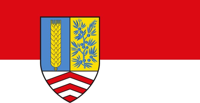 Vlag Steinhagen 100x150cm