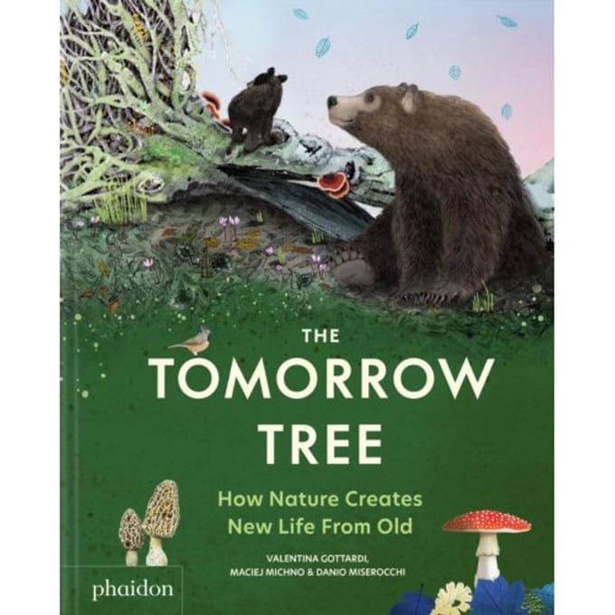 The Tomorrow Tree - Valentina Gottardi