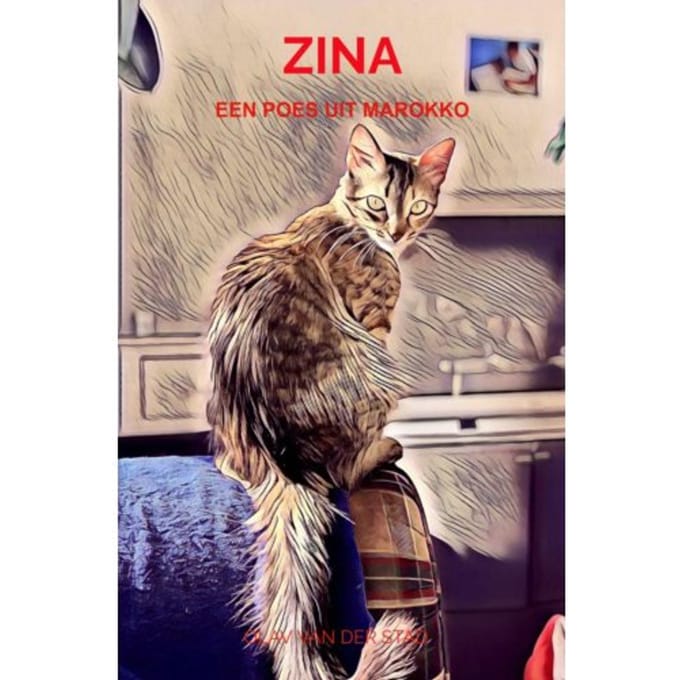 Zina - Olav Van der Stad
