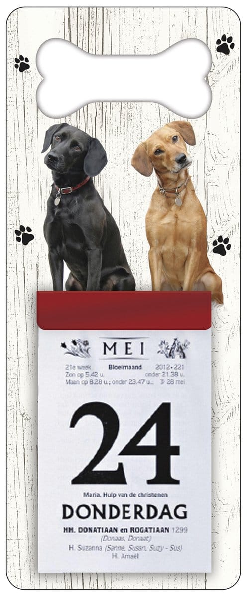 Scheurkalender 2027 Hond: Labrador