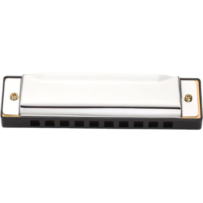 Bluesmondharmonica 10 gaten voor beginners white