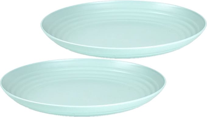 Plasticforte Rond bord/camping bord - 2x stuks - D25 cm - mintgroen - kunststof